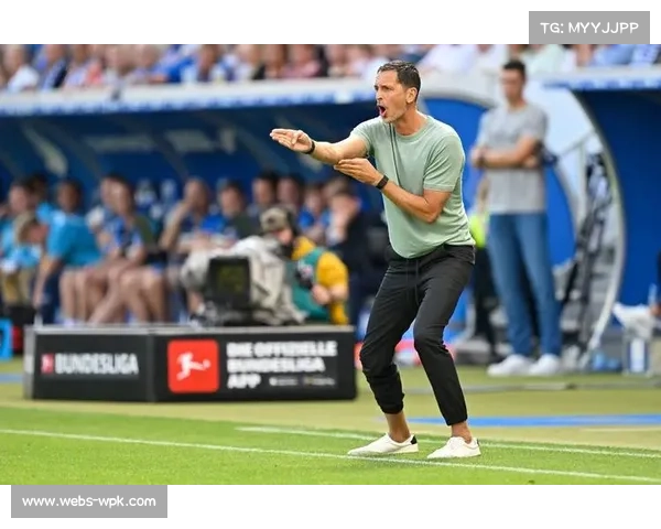 记者爆料巴萨锁定霍芬海姆锋线新星阿斯拉尼寻求中锋补强